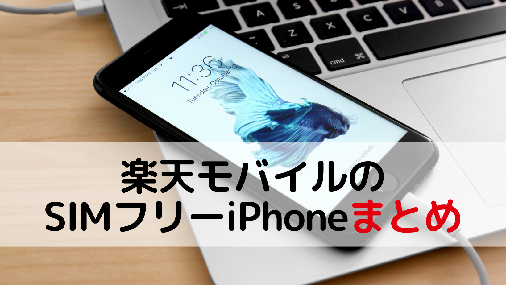 楽天モバイルのSIMフリーiPhoneまとめ