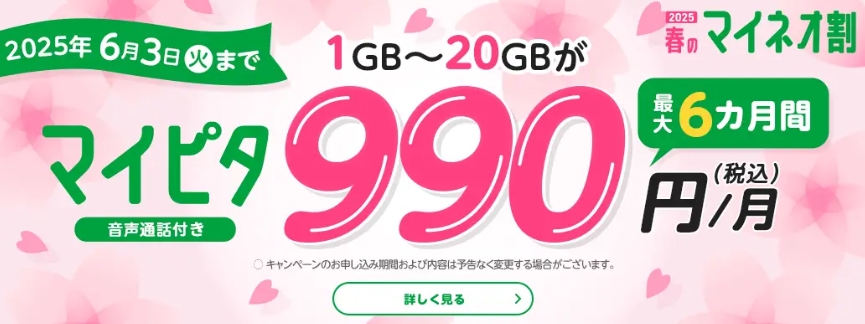 マイピタ1～20GB 最大6カ月間990円キャンペーン