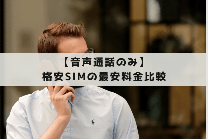 音声通話のみ